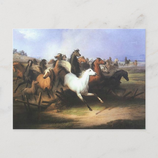 Klassiska konsthundar vykort (Framsida)