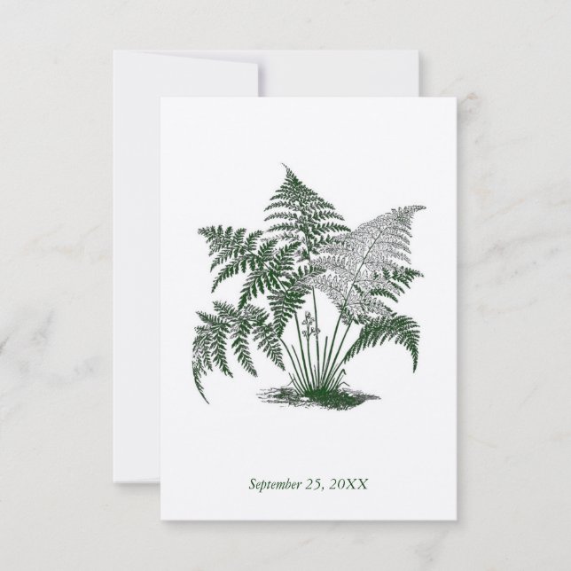 Klassiska Ormbunksblad Svar på RSVP (Framsida)