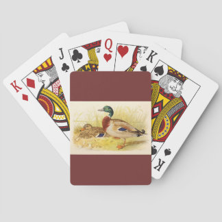 Klassiska uppspelningskort på Mallard Ankor Casinokort