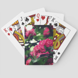 Klassiska uppspelningskort Vår Blommar Casinokort