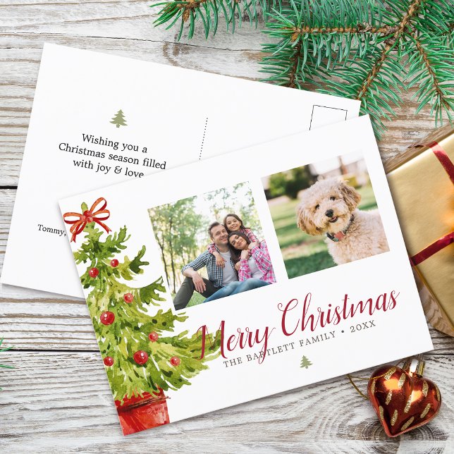 Klassiska vattenfärgsfoton i Julgran 2 Helg Vykort (Classic Watercolor Christmas Tree 2 Photos Holiday Postcard)