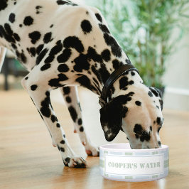 Klassiskt blågrönt rutmönster Namn Hund Vatten