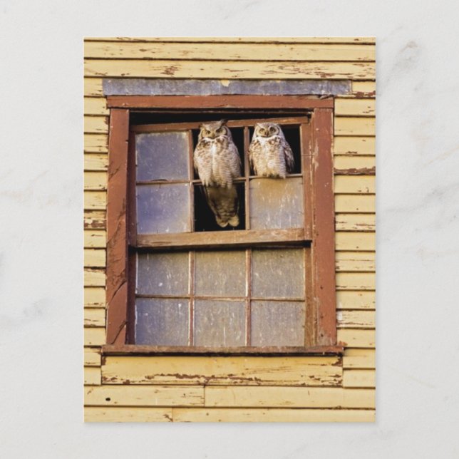 Klassiskt fotovykort vykort (Framsida)