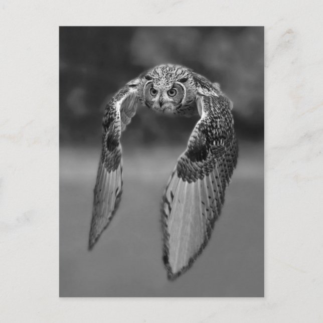 Klassiskt fotovykort vykort (Framsida)