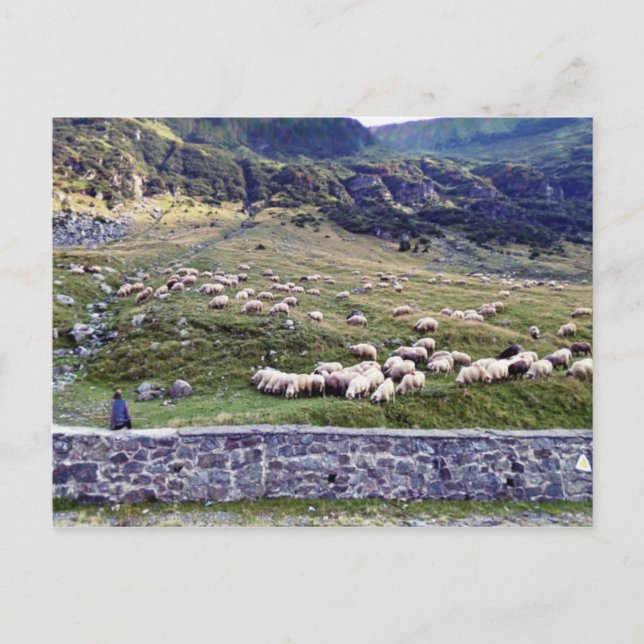 Klassiskt fotovykort vykort (Framsida)