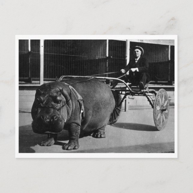 Klassiskt fotovykort vykort (Framsida)
