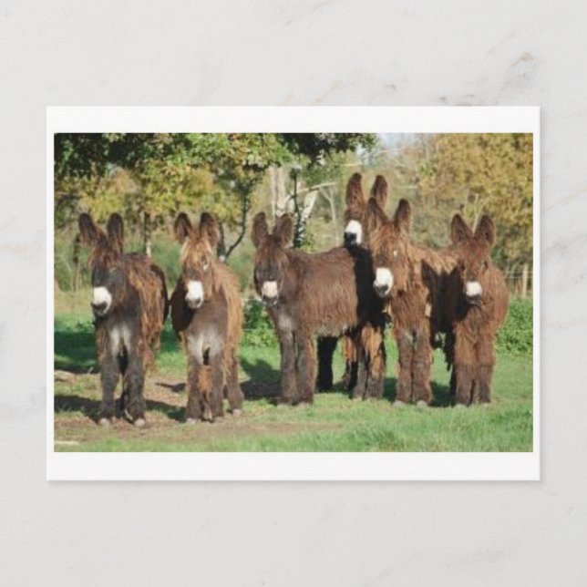 Klassiskt fotovykort vykort (Framsida)