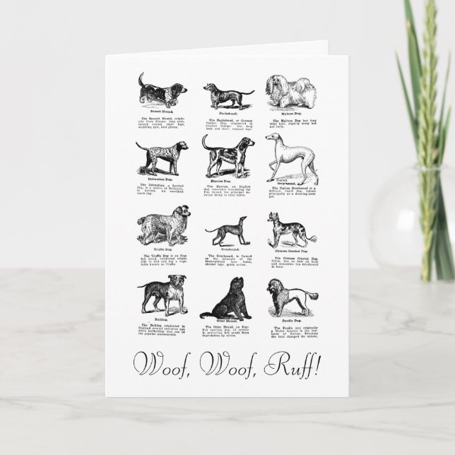 KLASSISKT HUND BIRTHDAY WISH-KORT KORT (Framsida)