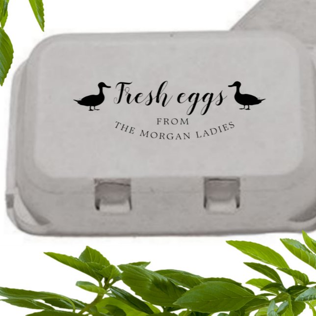 Klassiskt lantbruk anka Egg Carton Frimärke Självfärgande Stämpel (Skapare uppladdad)