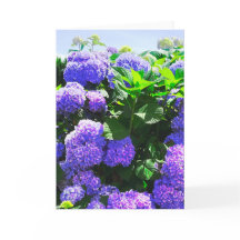Klassiskt Lila Realistic Hydrangea Greeting Card