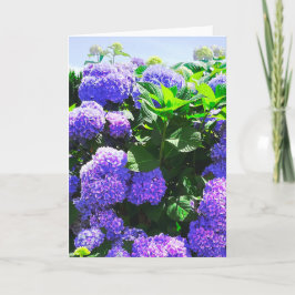 Klassiskt Lila Realistic Hydrangea Greeting Card Kort
