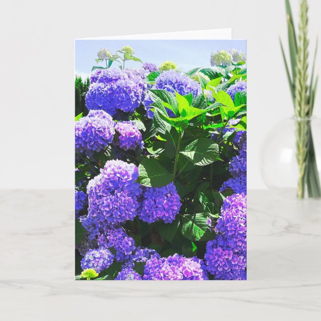 Klassiskt Lila Realistic Hydrangea Greeting Card Kort (Framsida)