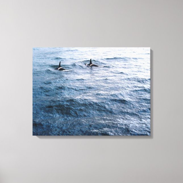 Klassiskt orca Whale Pair Ocean Scene Foto Designa Canvastryck (Framsida)