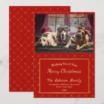 Klassiskt rödfärgat Guld Glam Fotojulflett