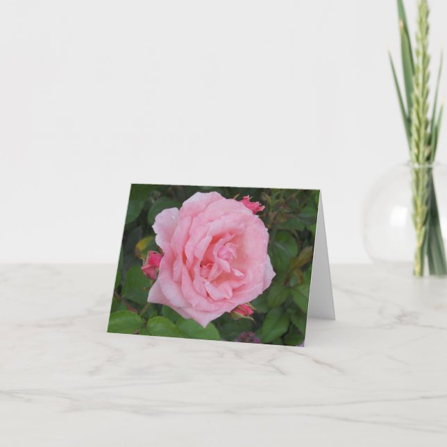 Klassiskt Rosa Ros Blank Vikbar Notkort Tack Kort (Framsida)