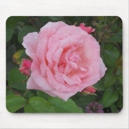 Klassiskt Rosa ros Musmatta