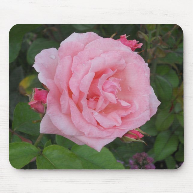 Klassiskt Rosa ros Musmatta (Framsidan)