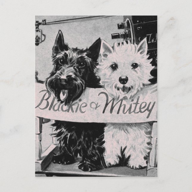 * Klassiskt Söt Poochies Rosa Postcard * Vykort (Framsida)