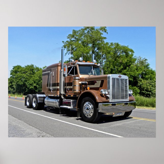 Klassiskt Tan 359-Poster Poster (Framsidan)