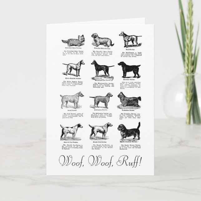 KLASSISKT TERRIER HUND BIRTHDAY WISH-KORT KORT (Framsida)