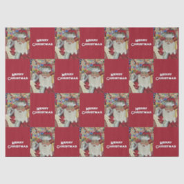 Klassiskt tomte - kolla det två gånger Helgdag Bur