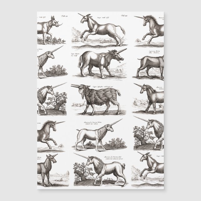 Klassiskt Unicorn Antique Mythical Magic Creature (Framsida)