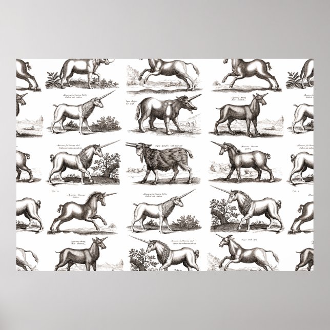 Klassiskt Unicorn Antique Mythical Magic Creature Poster (Framsidan)