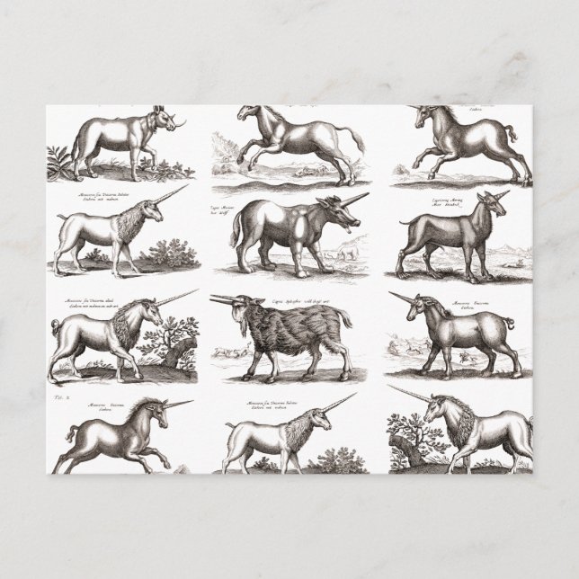 Klassiskt Unicorn Antique Mythical Magic Creature Vykort (Framsida)