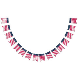 Klassiskt US Flagga Stars och stripes