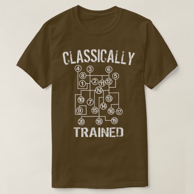 Klassiskt utbildad drivrutin för Lastbil 20 växell T Shirt (Design framsida)