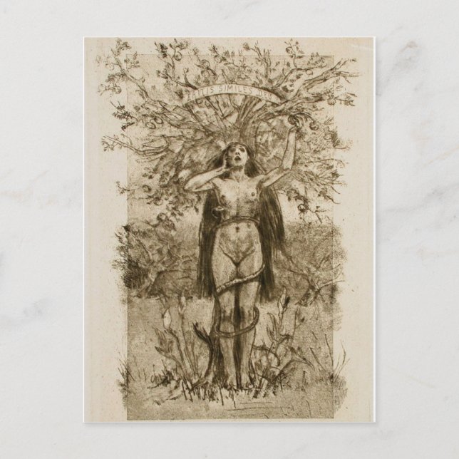 Klassiskt vykort (Framsida)