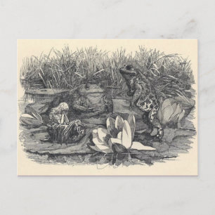 Klassiskt vykort för illustration