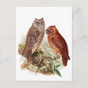 Klassiskt vykort för illustration