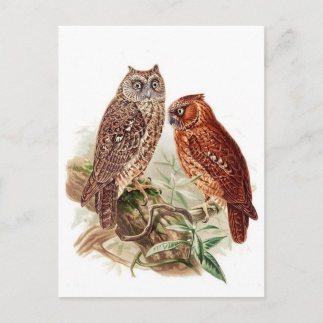 Klassiskt vykort för illustration (Framsida)