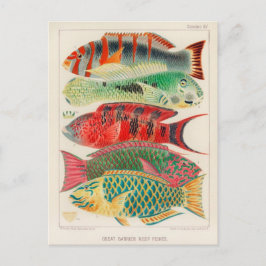 Klassiskt vykort för illustration