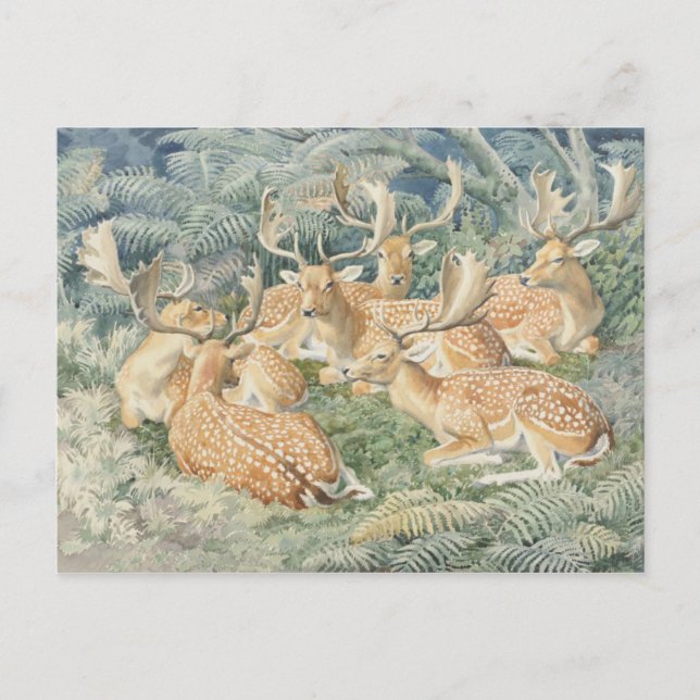 Klassiskt vykort för illustration (Framsida)