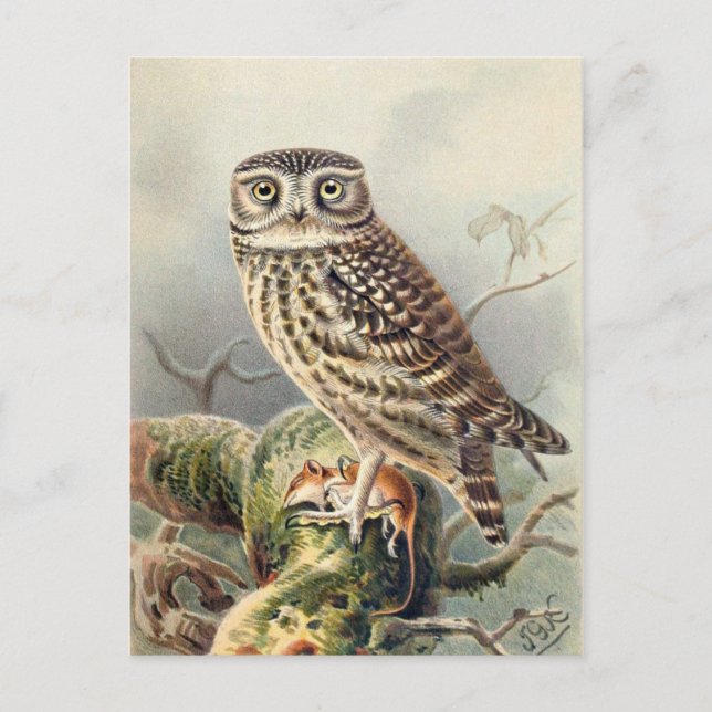 Klassiskt vykort för illustration (Framsida)