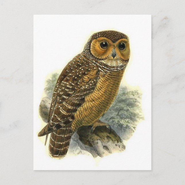 Klassiskt vykort för illustration (Framsida)