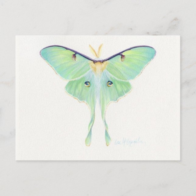 Klassiskt vykort för illustration (Framsida)