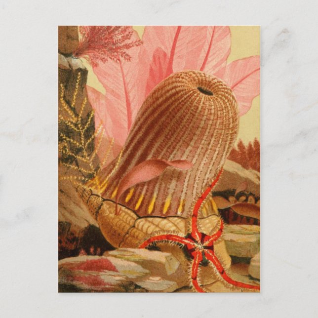 Klassiskt vykort för illustration (Framsida)