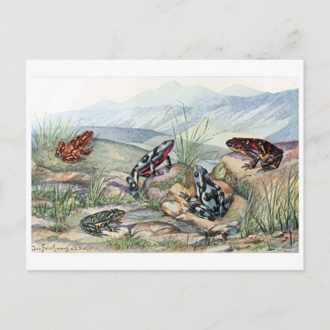 Klassiskt vykort för illustration (Framsida)