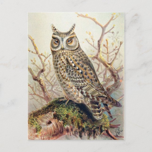 Klassiskt vykort för illustration (Framsida)