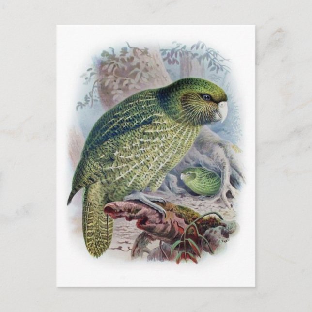 Klassiskt vykort för illustration (Framsida)