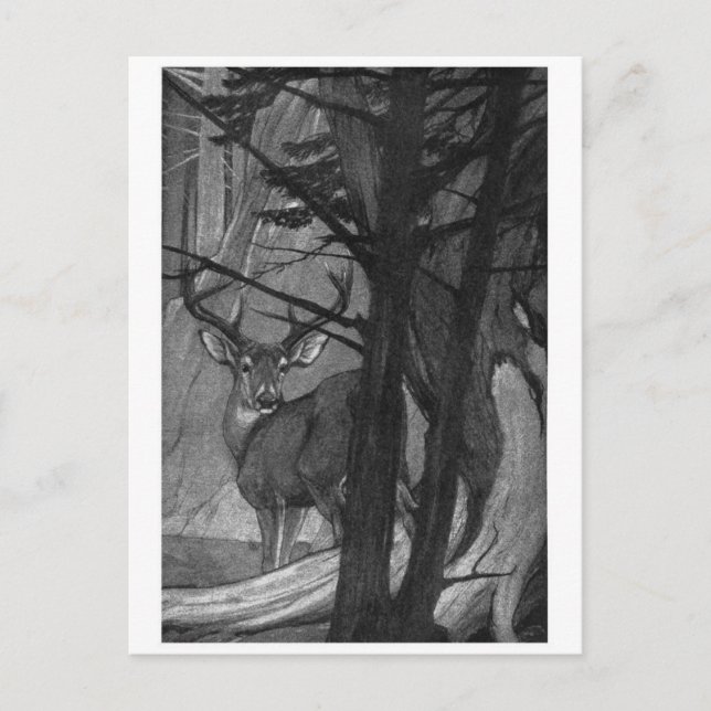 Klassiskt vykort för illustration (Framsida)