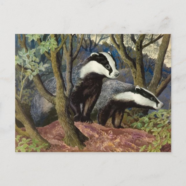 Klassiskt vykort för illustration (Framsida)