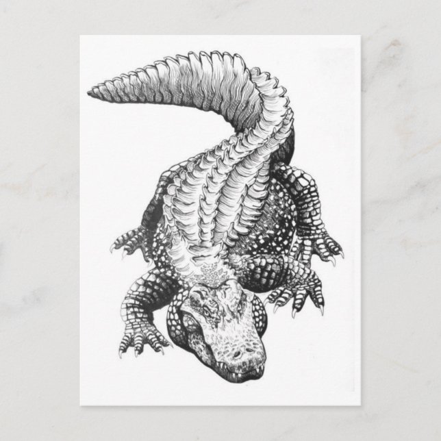 Klassiskt vykort för illustration (Framsida)