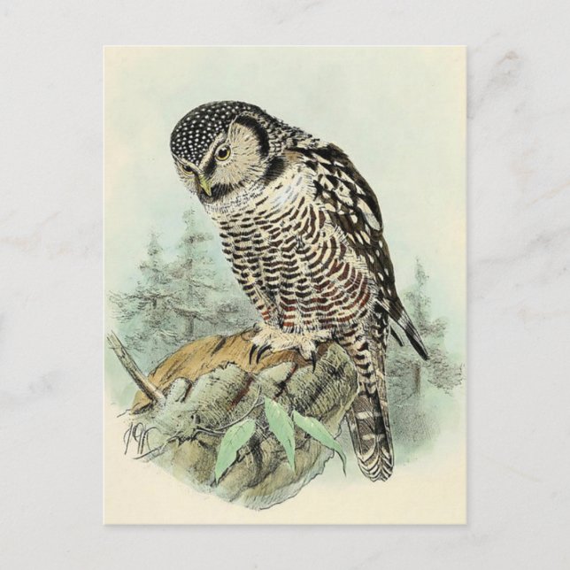 Klassiskt vykort för illustration (Framsida)