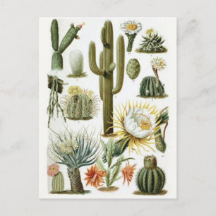 Klassiskt vykort för illustration