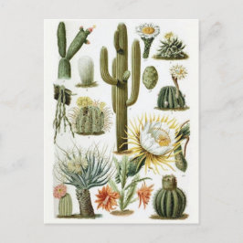 Klassiskt vykort för illustration