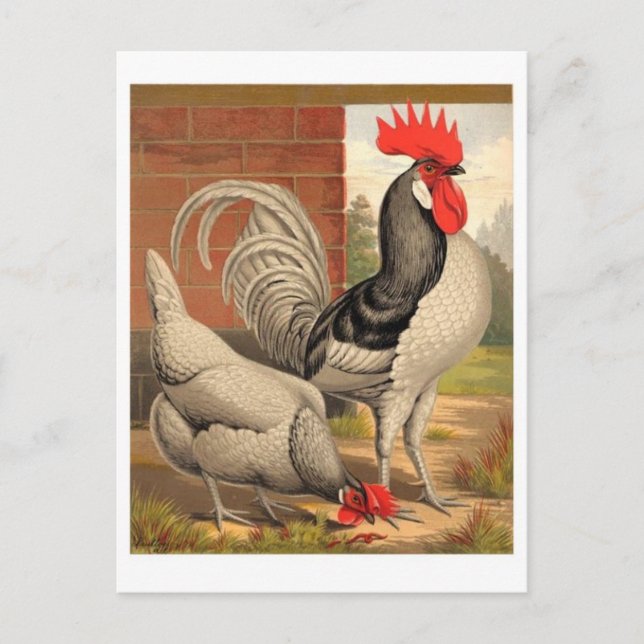 Klassiskt vykort för illustration (Framsida)